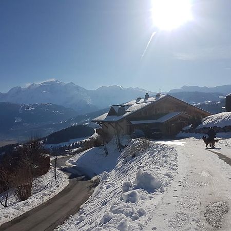 فيلا سالونشفي La Joubarbe Au Balcon Du Mont-Blanc المظهر الخارجي الصورة