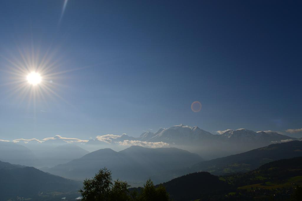 فيلا سالونشفي La Joubarbe Au Balcon Du Mont-Blanc المظهر الخارجي الصورة