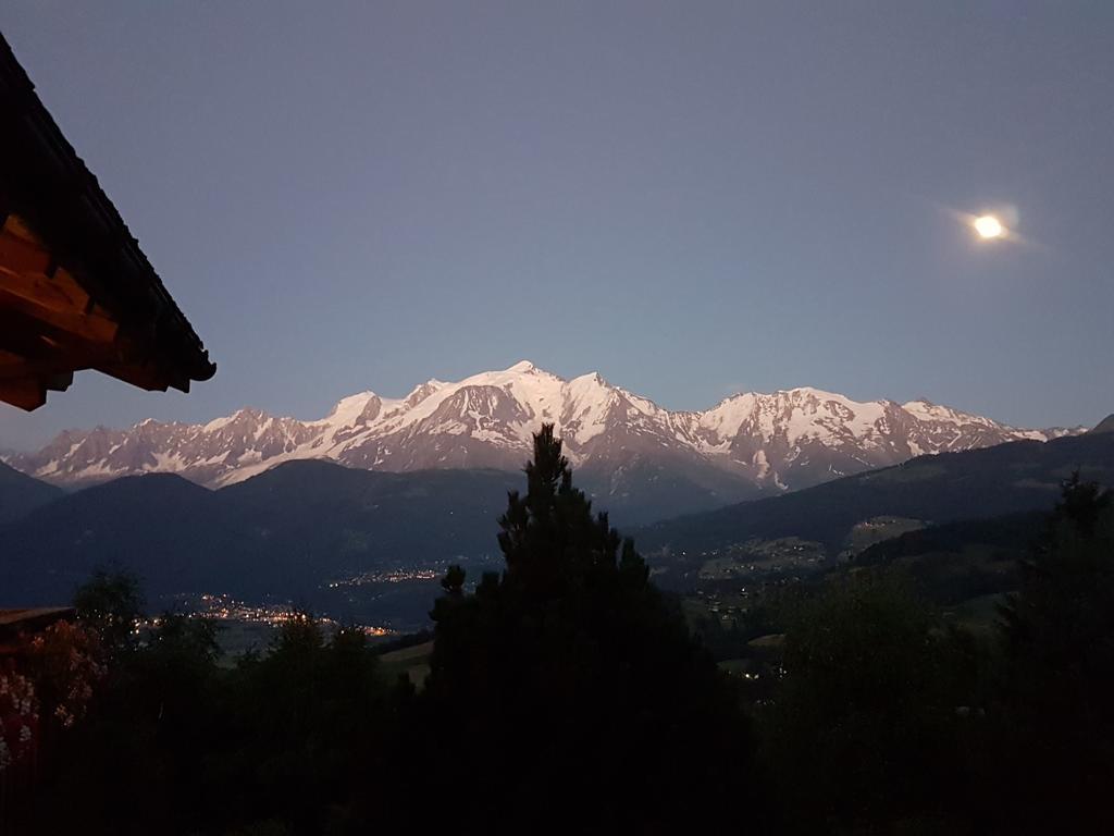 فيلا سالونشفي La Joubarbe Au Balcon Du Mont-Blanc المظهر الخارجي الصورة