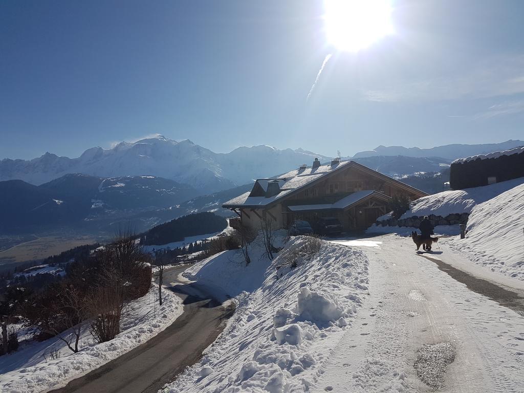فيلا سالونشفي La Joubarbe Au Balcon Du Mont-Blanc المظهر الخارجي الصورة